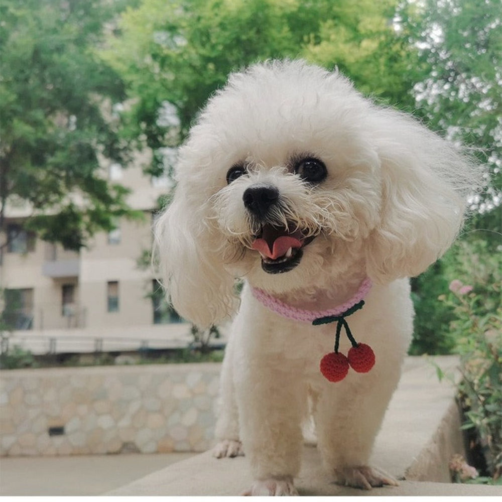 The Luxury Knit Cherry Collar